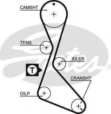 GATES 5056 Ремінь ГРМ