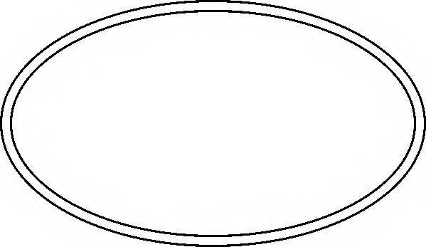 WILMINK GROUP WG1192458 Прокладка корпус впускного колектора